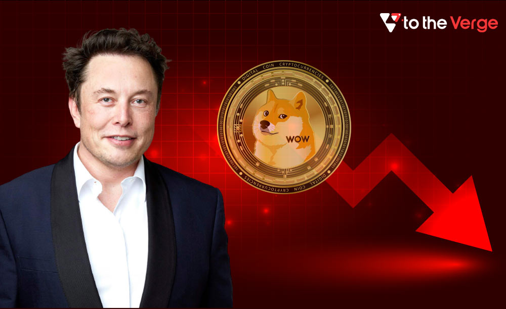 Dogecoin Down By 90% Since Elon Musk Appeared On SNL Last Year