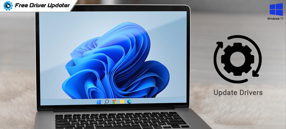 How to update drivers on window 11