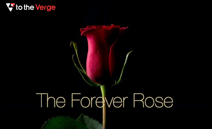Kevin Abosch "Forever Rose" NFT