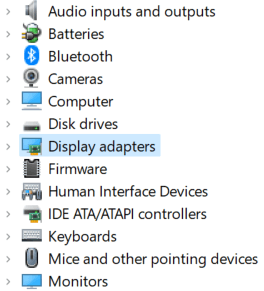 Click on the Display adapters option