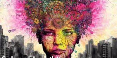 Sylveer Insights The New Digital Trend that Everyone is Exploring