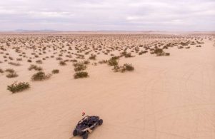 Conquer the Desert with Our Dune Buggy Rentals