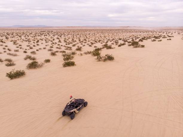 Conquer the Desert with Our Dune Buggy Rentals